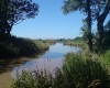 Rosemary Wood Fisheries